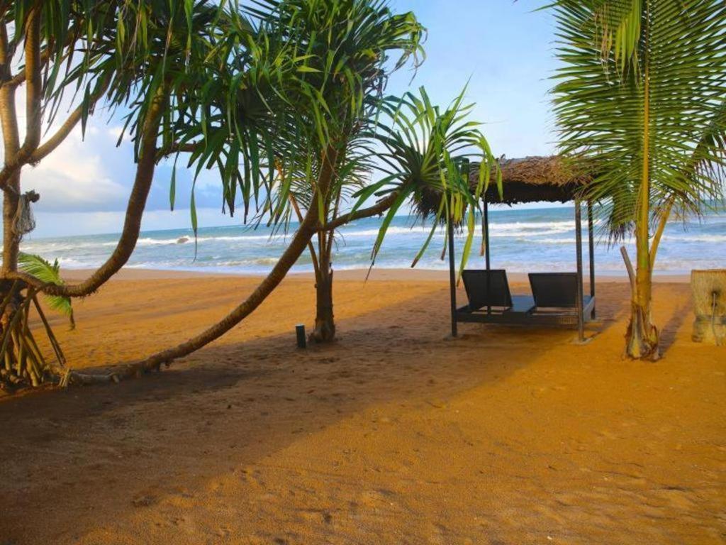 Whispering Palms Hotel Bentota Exteriér fotografie